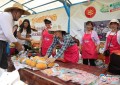 珠海举办庆祝首届“中国农民丰收节”活动